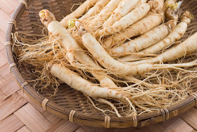 Le proprietà benefiche del Ginseng