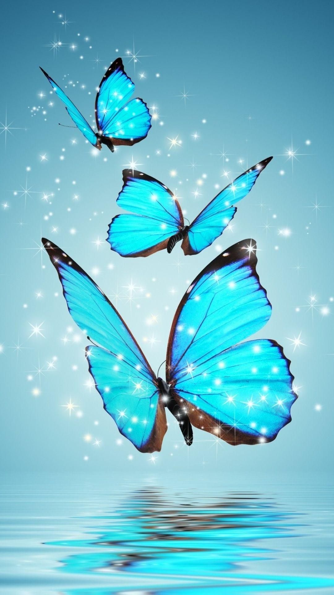 Butterfly Wallpaper Download - Butterfly Pic Download - Butterfly Drawing - Butterfly Wallpaper - projapoti pic - NeotericIT.com