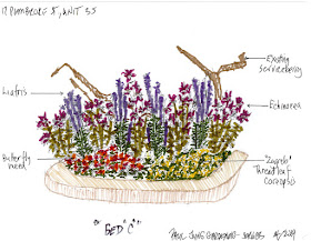 A New Toronto Pollinator Garden Design After by Paul Jung Gardening Services--a Toronto Gardening Company