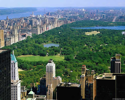 central park de Nueva York (Estados Unidos)