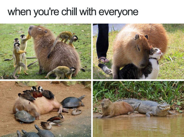 When you're chill with everyone.