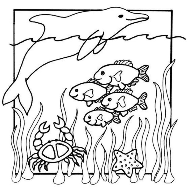 ocean coral reef coloring pages