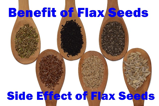 Benefit and Side Effect of Flax Seeds