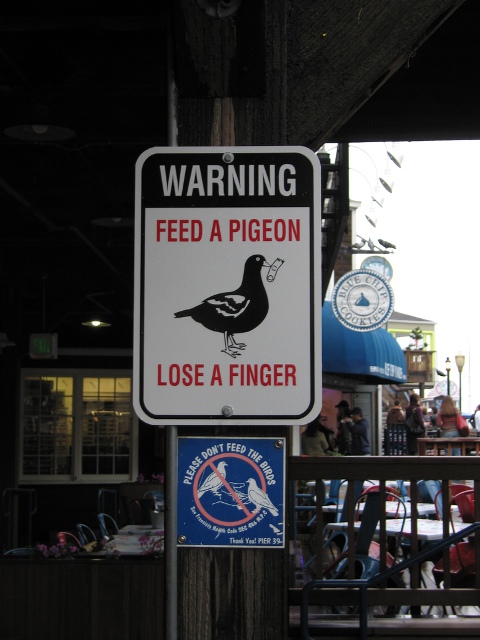 Funny Pictures Signs. Funny Banners Funny Sign