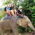 Elephant Trekking Tours Thailand - Travel and Leisure Articles