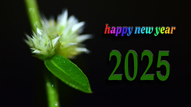 Happy New Year 2025 Background Images in HD