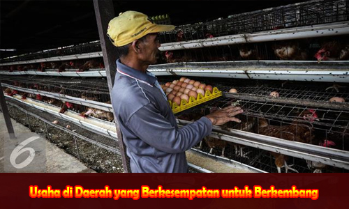 Usaha di Daerah yang Berkesempatan untuk Berkembang