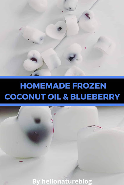 Frozen Coconut Oil and Blueberry Homemade Dog