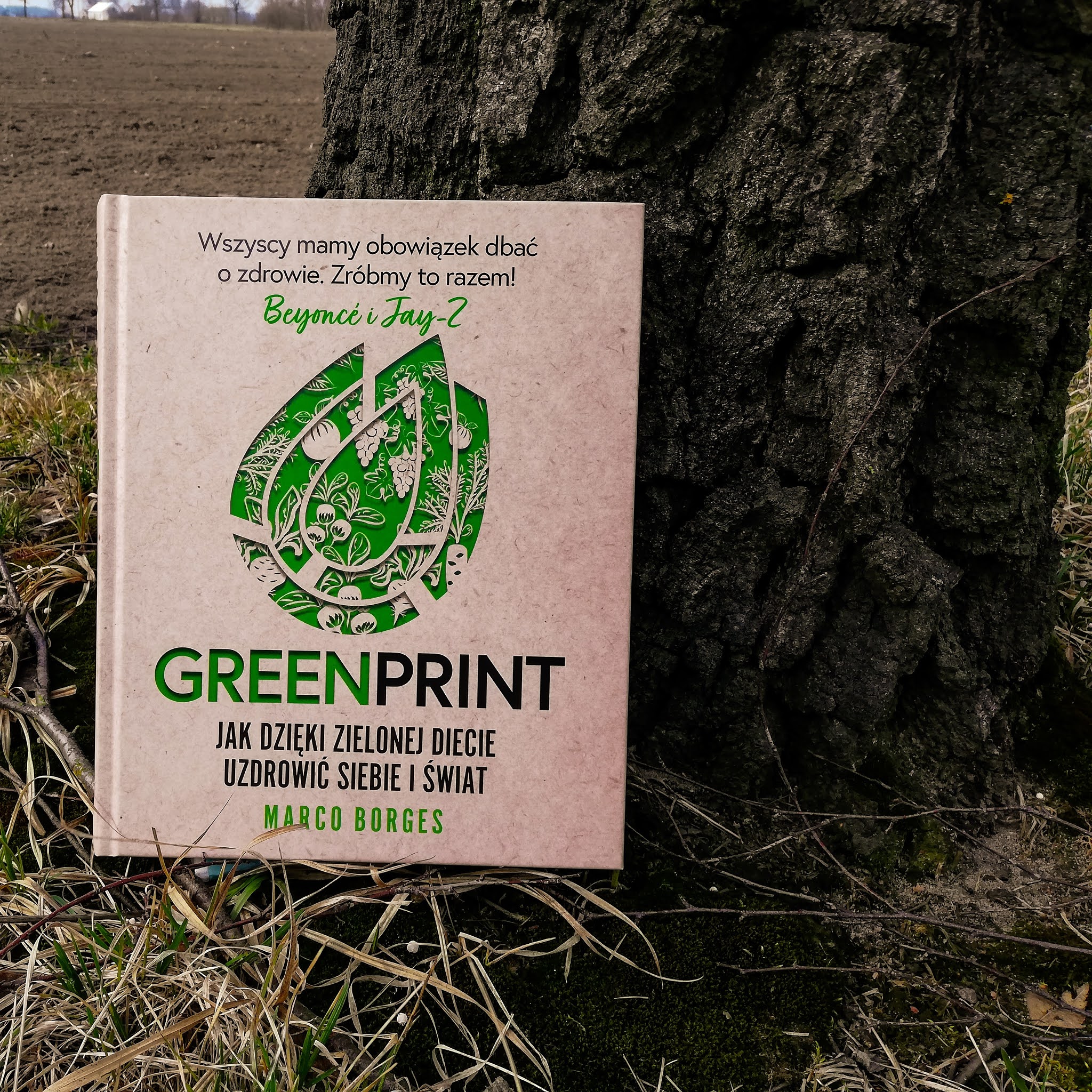 RECENZJE KSIĄŻEK: Greenprint. Jak dzięki zielonej diecie uzdrowić siebie i świat M. Borges #82