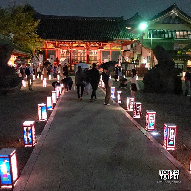 【淺草燈籠祭】500座燈籠閃耀淺草老街區　人力車夫組成偶像男團在神社舞台唱跳