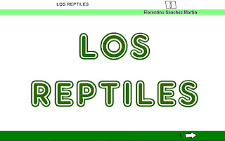  reptiles