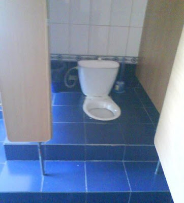 bizarre toilet