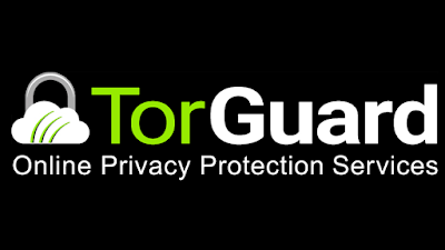 The Top 10  Best VPN Apps for Android Smartphone TORGUARD VPN FOR ANDROID