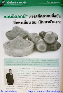  สมุนไพรรักษาโรค ขมิ้นชัน แคปซูล Thai Herb สรรพคุณและประโยชน์ โรคข้อเข่าเสื่อม บรรเทาอาการปวดข้อ ท้องอืด