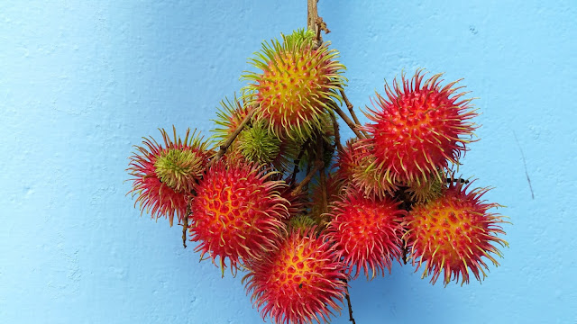 RAMBUTAN FRUIT