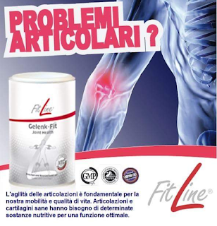 Fitline Artifit Gelenk-fit 