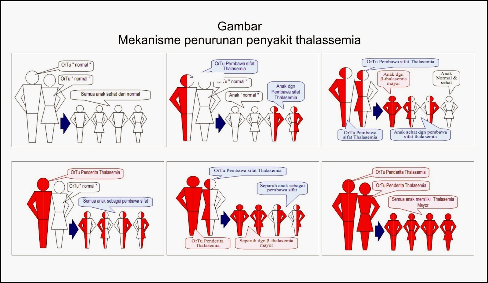 Vitamin Shaklee Dan Penyakit Thalassemia  Beli Vitamin Online