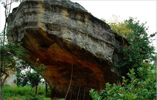 Nam Phong National Park 