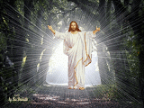 http://coltisorderai.blogspot.ro