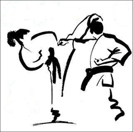 Jiu-Jitsu Svart Vit