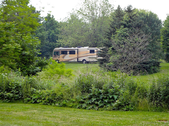 Fourmile Creek State Park, Niagara Falls New York