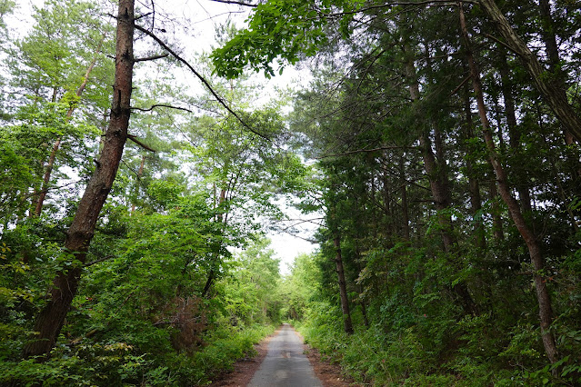 鳥取県西伯郡大山町赤松