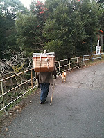 Old man with his dog