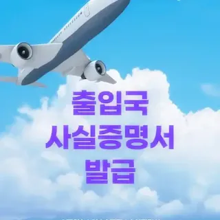 출입국 사실증명서