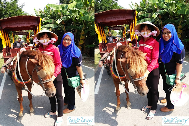 Vietnam, kereta kuda