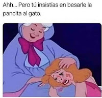 mujer arañada por gato humor meme