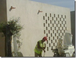 IMG00714-20111007-1634