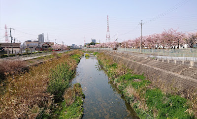 今池水みらいセンター(松原市)