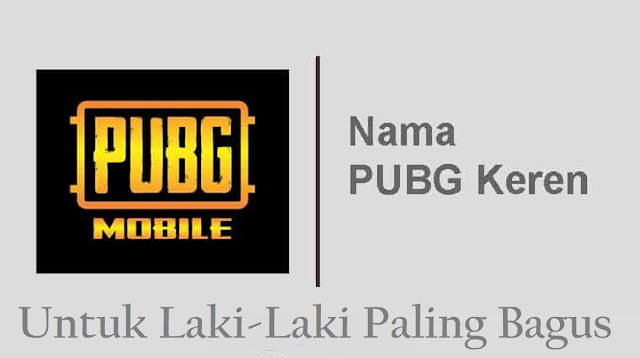 Nama Pubg Keren Untuk Laki-Laki