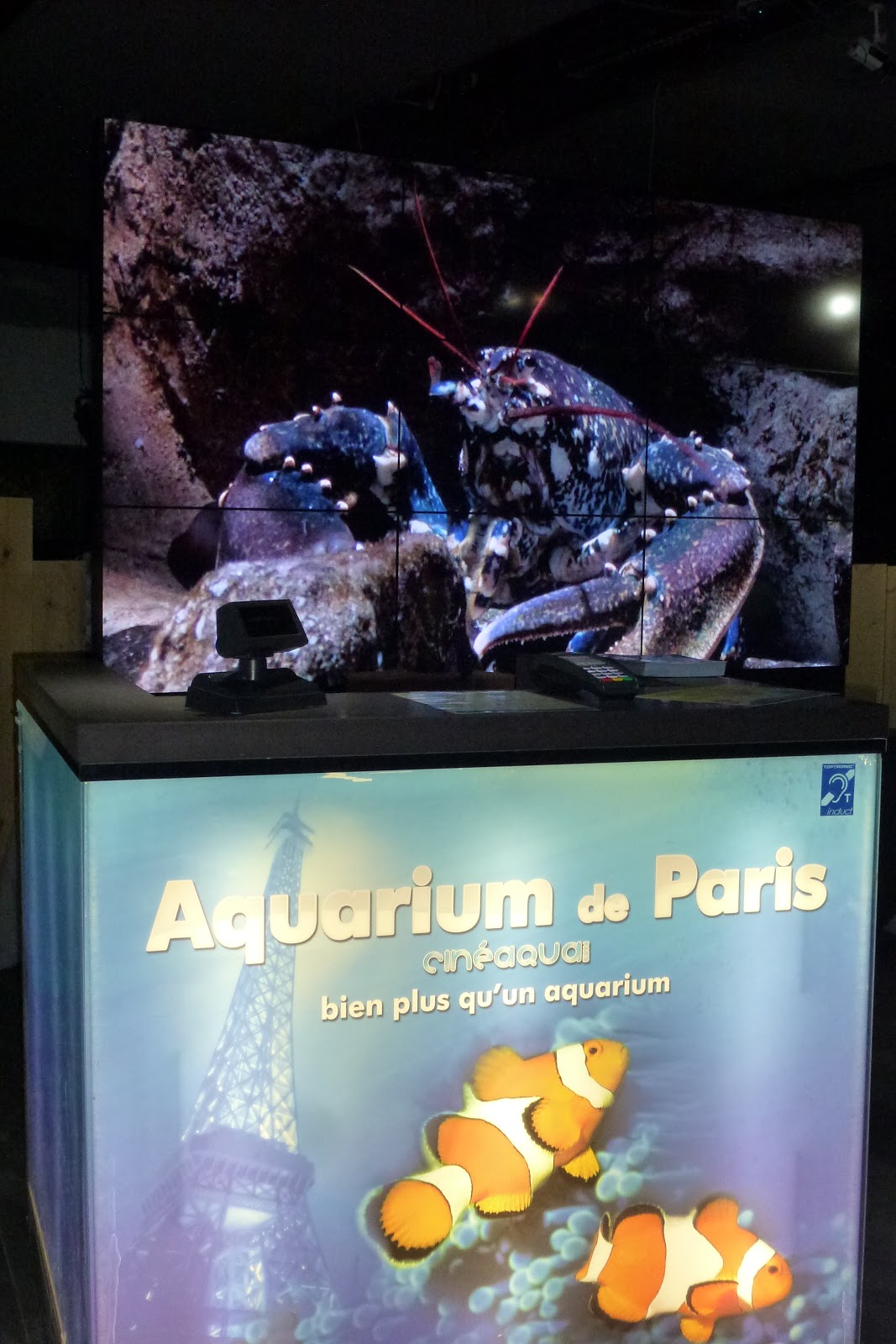 Actualités Nautisme Les plus grands aquariums du monde