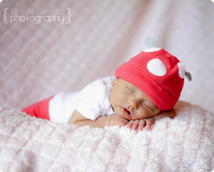 IMG_5063ed-8x10ed