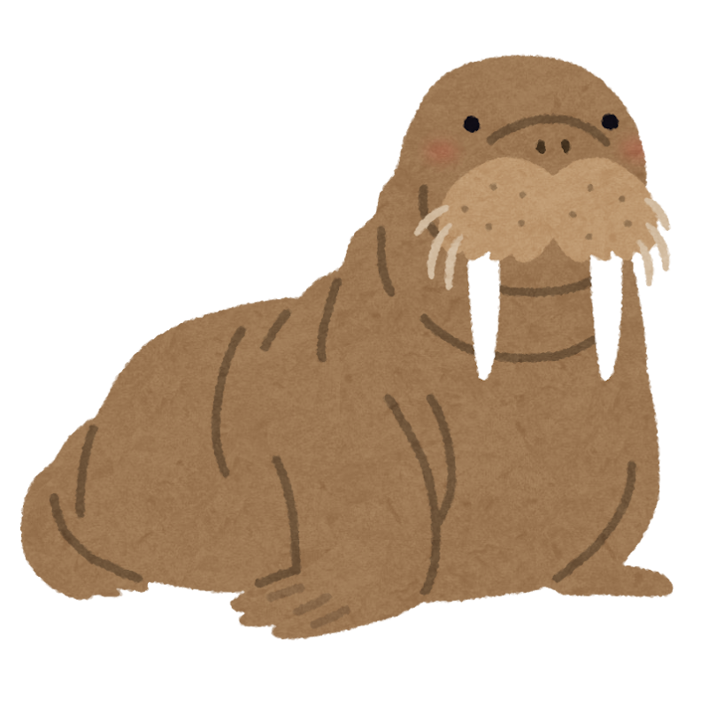 セイウチのイラスト かわいいフリー素材集 いらすとや セイウチのイラスト かわいいフリー素材集 いらすとや