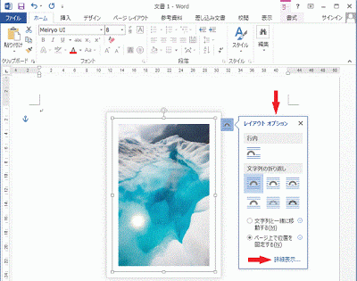 レイアウトオプションが表示される