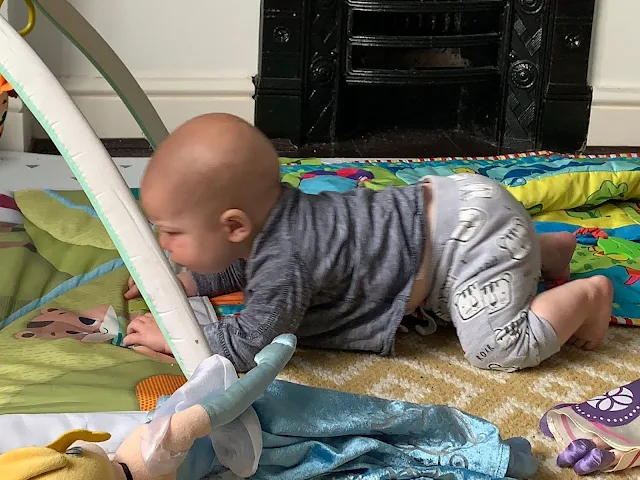 Baby Boy up on all fours in a crawling position