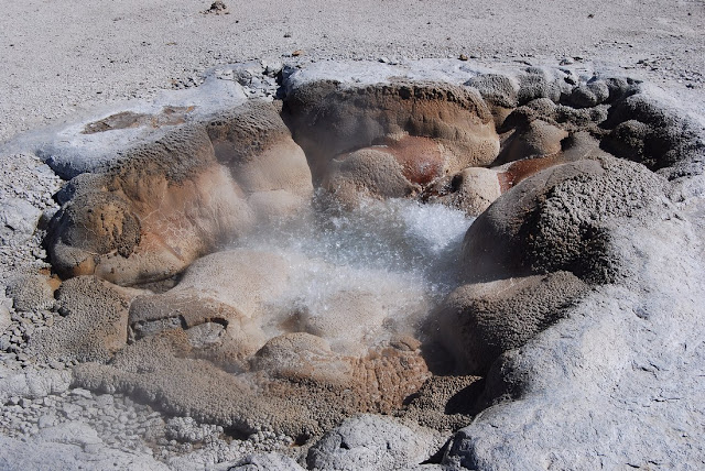 Shell Geyser