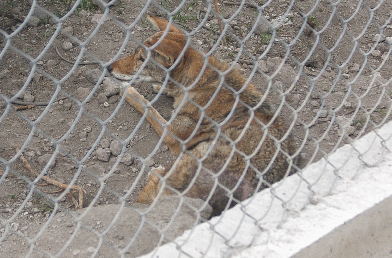 Denuncian irregularidades en Parque Ecológico Ehécatl en Ecatepec   