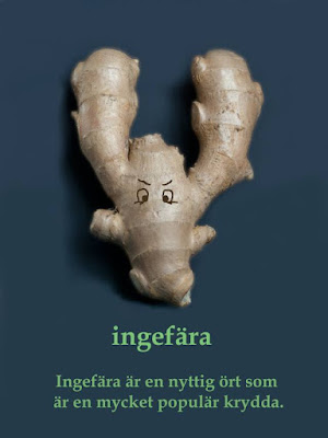 Ingefära