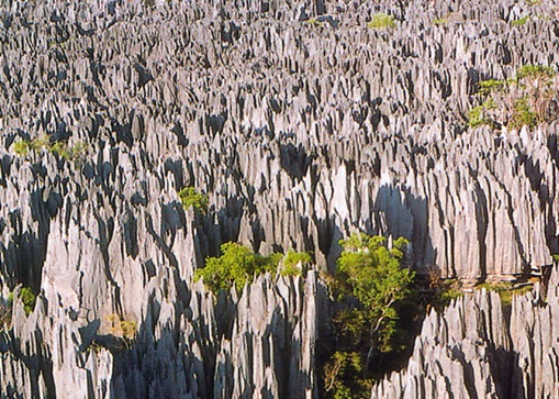 Tsingy de Bemaraha Strict Nature Reserve