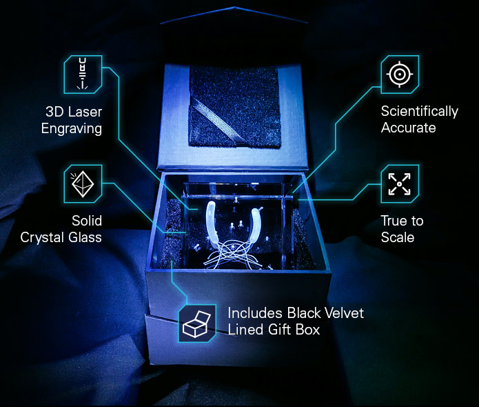 Microcosms in Glass Review