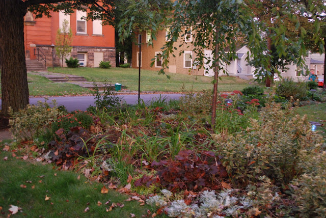  Cherry Corner has also added a rosy hue to its planting.