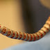 New Snake Like Robots For Heart Surgery