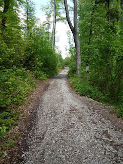 Westlicher Römerstraßenaufstieg beim Georgenstein