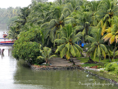 backwaters kayamkulam kerala