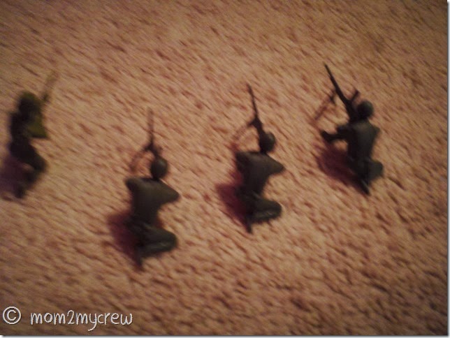SAM_1058