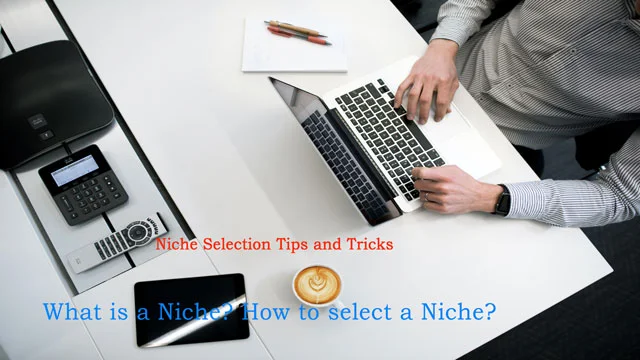 What is a Niche? How to select Niche?