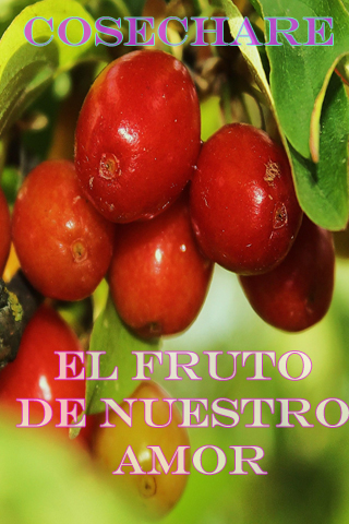 Cosechare el fruto de nuestro amor